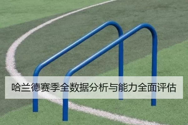 哈兰德赛季全数据分析与能力全面评估