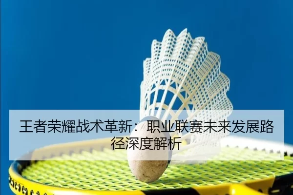 王者荣耀战术革新：职业联赛未来发展路径深度解析