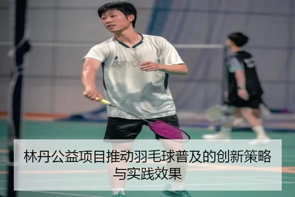 林丹公益项目推动羽毛球普及的创新策略与实践效果