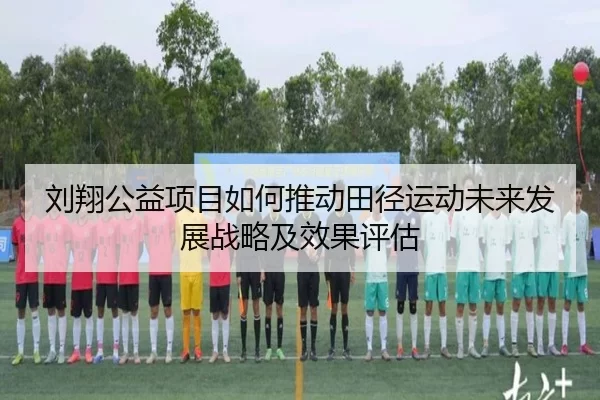刘翔公益项目如何推动田径运动未来发展战略及效果评估