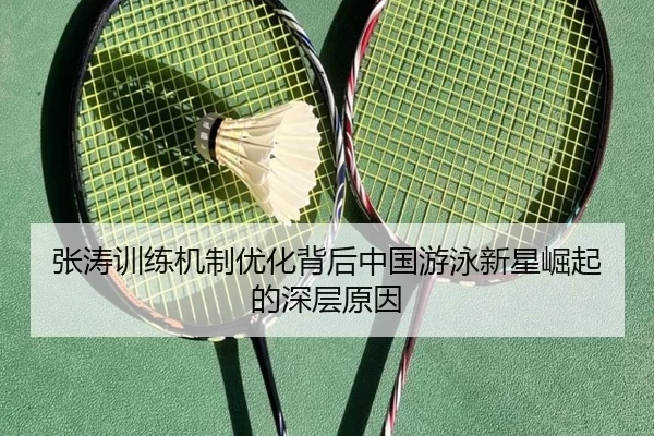 张涛训练机制优化背后中国游泳新星崛起的深层原因
